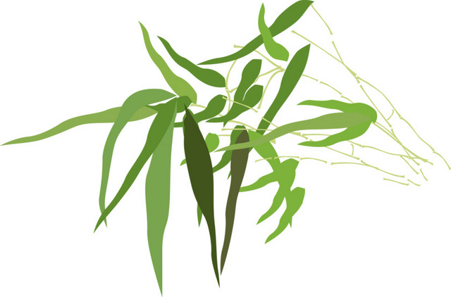 卡通清新竹子素材