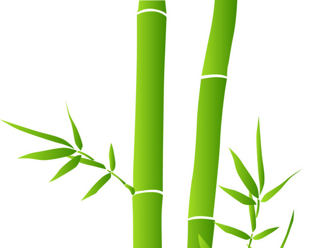 卡通清新竹子素材