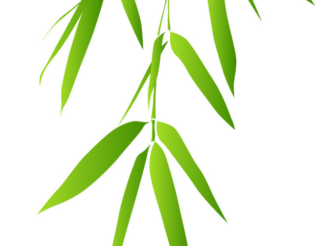 绿色竹叶素材下载