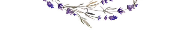 薰衣草紫花花环素材