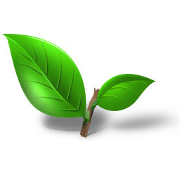 手绘清新茶叶素材