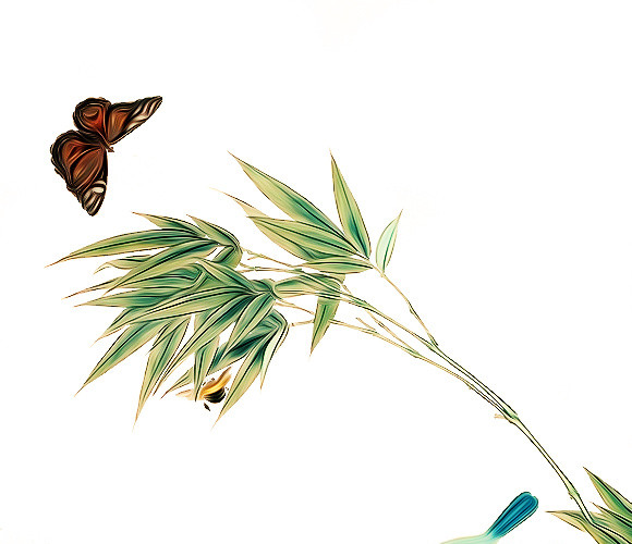 手绘蝴蝶春季插画素材