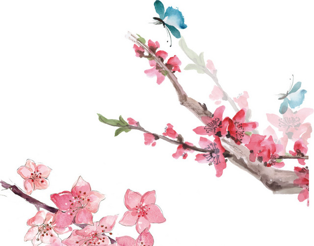 水墨花鸟插画春季元素