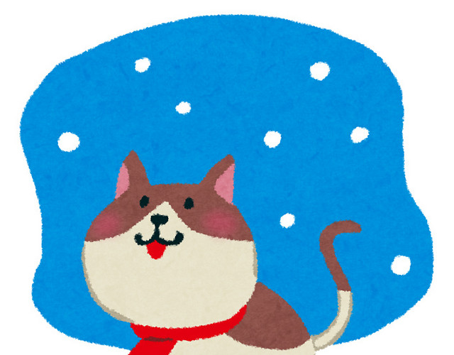 冬天雪景下的小狗