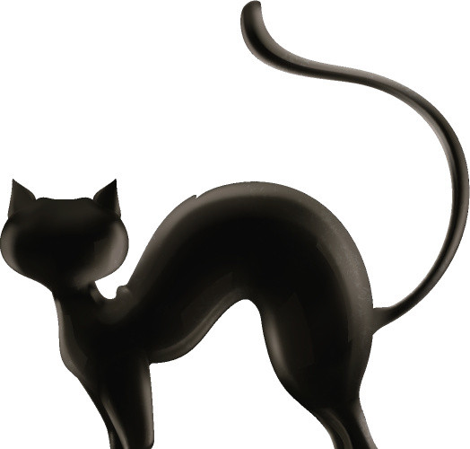 万圣节黑猫