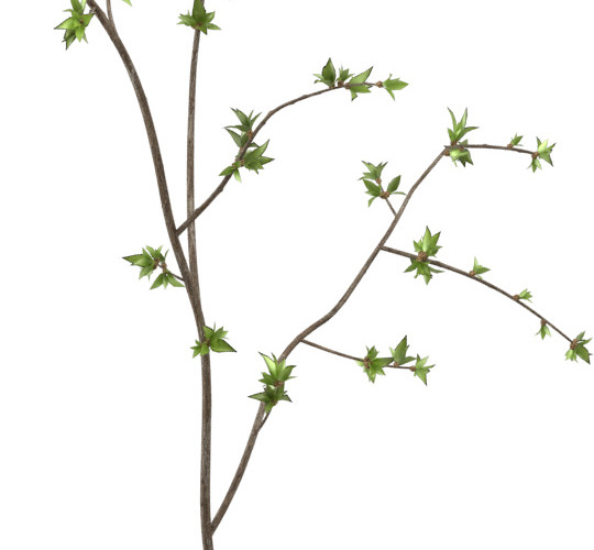 花瓶装饰花素材