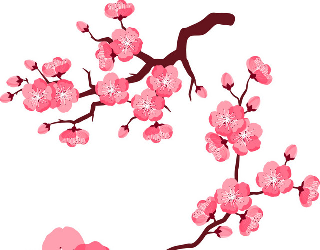 粉色唯美樱花素材