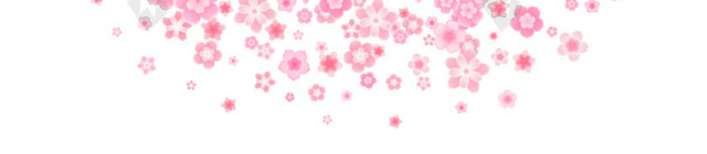 圆形樱花花瓣背景