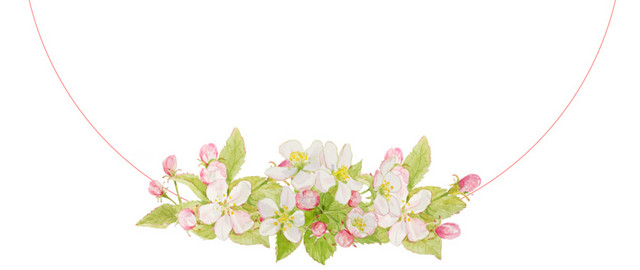 白色清新樱花圆框唯美素材