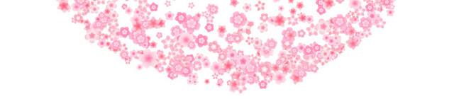 美丽樱花花瓣边框素材