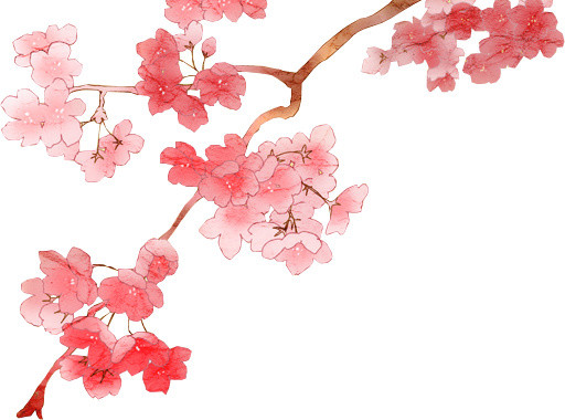 樱花节装饰樱花枝丫