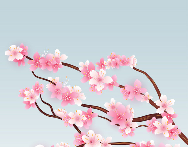 粉色樱花素材下载