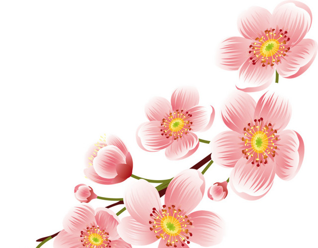 手绘粉色樱花矢量图