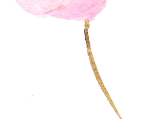 一枝手绘花朵矢量图