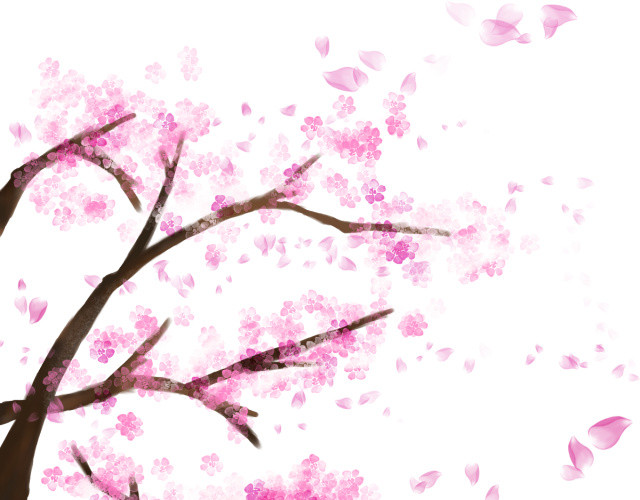 樱花节装饰樱花枝丫