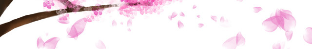 樱花节装饰樱花枝丫