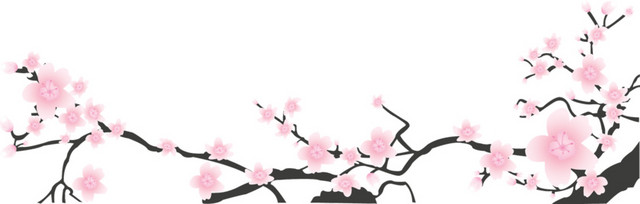 樱花花枝素材