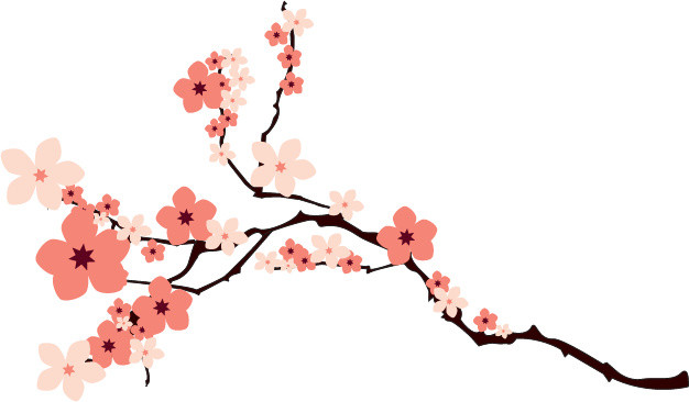  樱花花枝素材