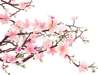  樱花花枝素材