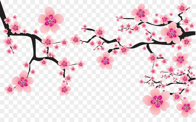 美丽樱花花枝矢量图