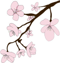 手绘粉色樱花矢量图