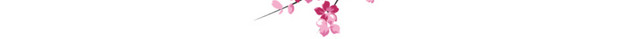 怒放樱花花枝素材