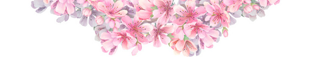 美丽粉色樱花花环素材