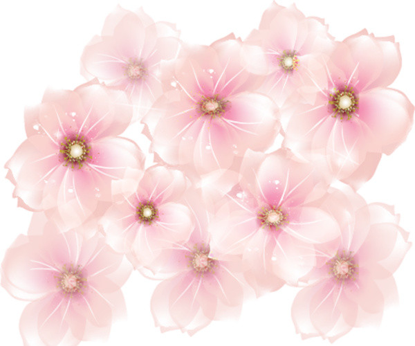 手绘淡粉色樱花花朵素材