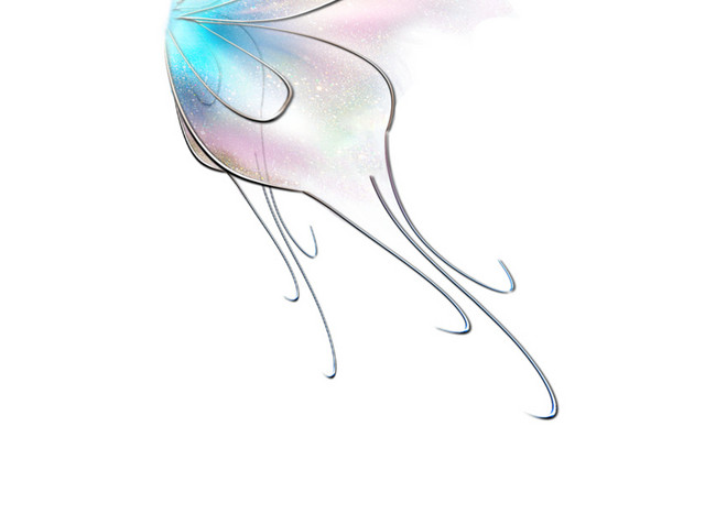 蝴蝶