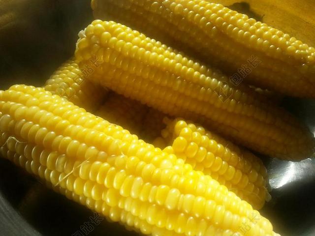 玉米棒 鲜玉米 玉米 蔬菜 甜 垦 素 新鲜