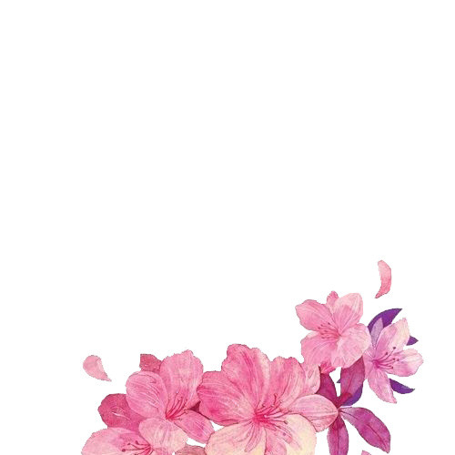鲜花