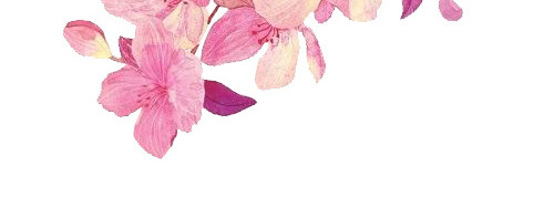 鲜花