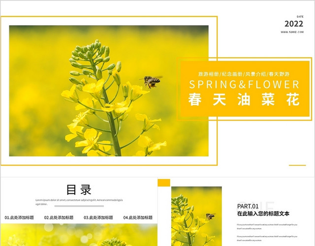 黄色唯美春季旅游油菜花相册模板春天