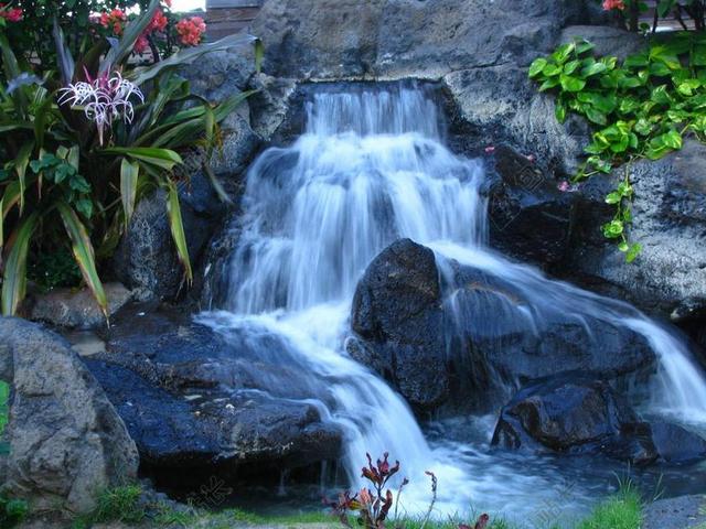 大瀑布 夏威夷 瓦胡岛 热带 水 岛 自然 茂盛 旅行