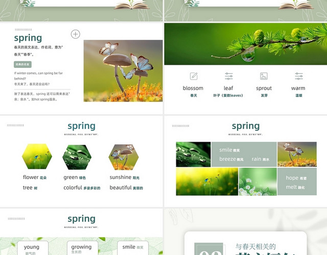 绿色简约风春天英文课件PPT
