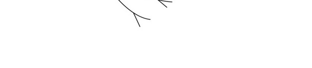 可爱鸟儿线条简笔画