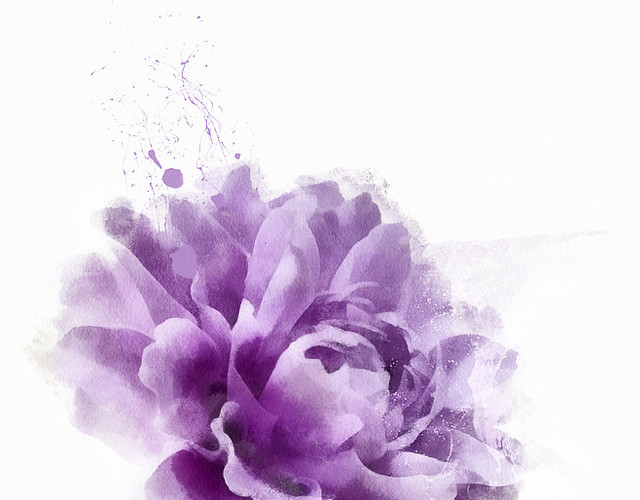 紫色的花