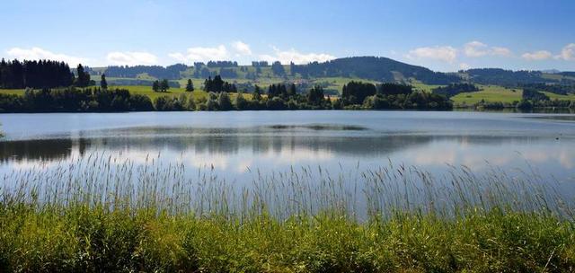 山全景图 山 BERGSEE 阿尔高 ROTTACHSEE 水库