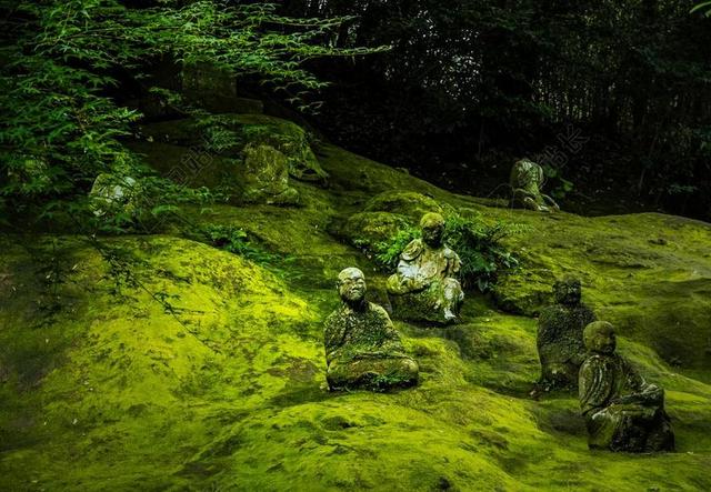 日本 佛雕像 佛 佛教 雕像 亚洲 熊本 青苔 绿色