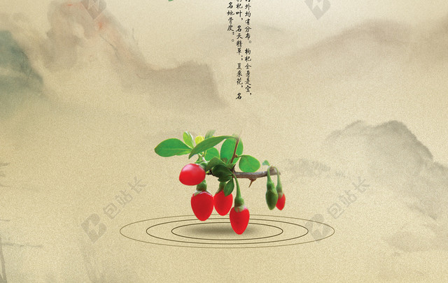 中药枸杞产品介绍背景
