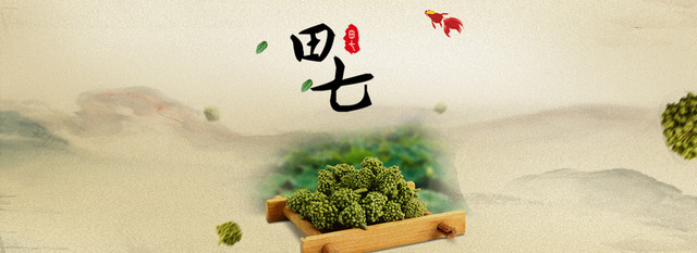田七中药背景