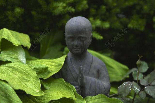 佛 雕像 雕塑 户外 花园 公园 植物 叶子 湿 雨 滴