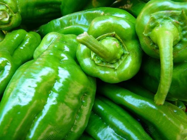 辣椒粉 蔬菜 绿色 食品