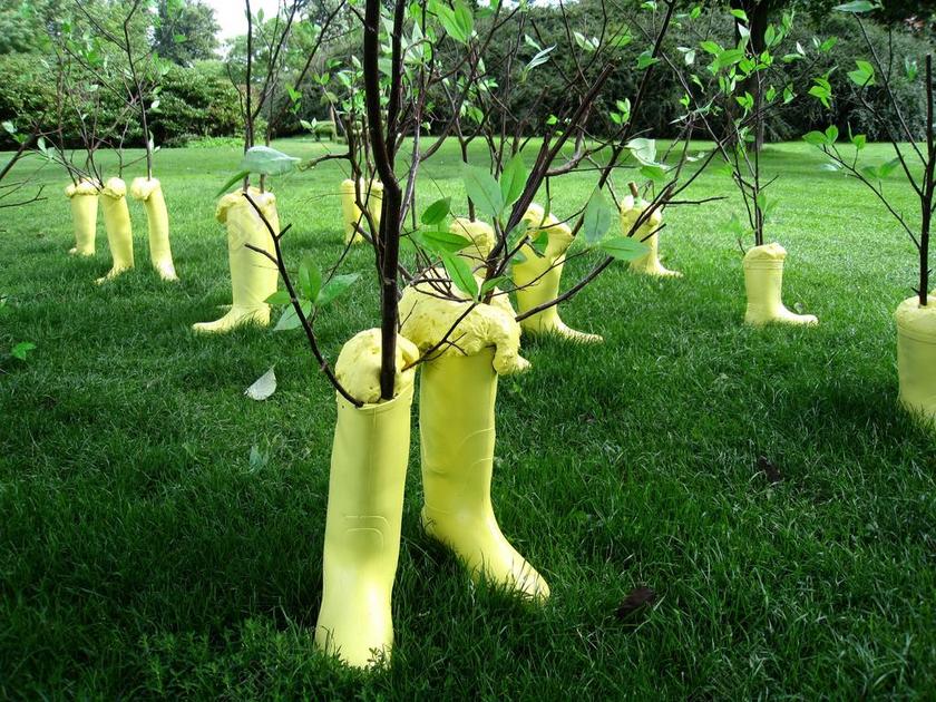 丹麦 公园 安装 靴子 草 灌木 树 树枝