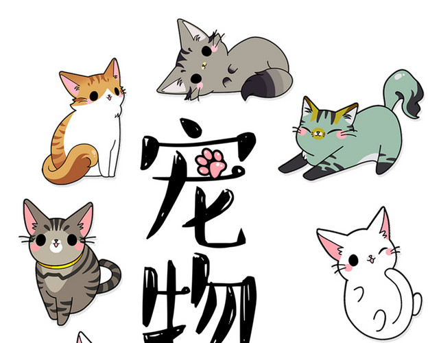卡通宠物猫