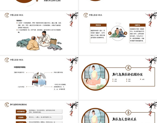 棕色中国风中医美容学中医美容PPT