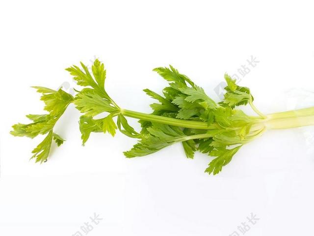 蔬菜 材料 绿色 芹菜 食品