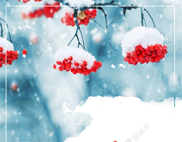 腊梅文艺景色雪松BANNER