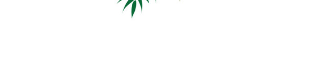 椰树叶文字框