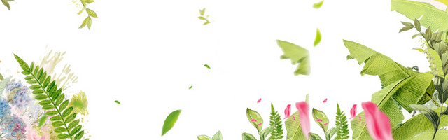春天花草